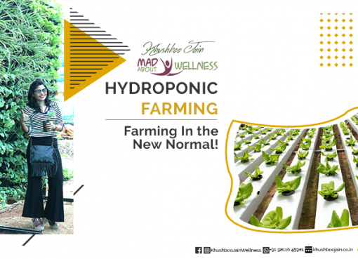 Review of Hydroponic Farming by Khushboo Jain