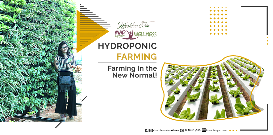 Review of Hydroponic Farming by Khushboo Jain